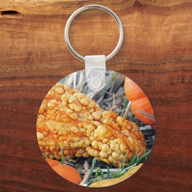 Warty Gourd  Key Ring (Front)