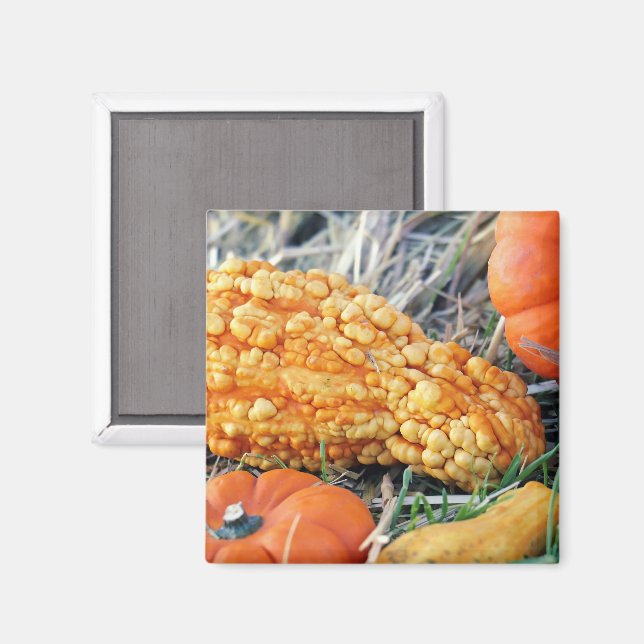 Warty Gourd  Magnet (Front/Back)