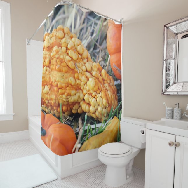 Warty Gourd  Shower Curtain (In Situ)