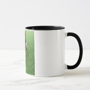 Warwick mug