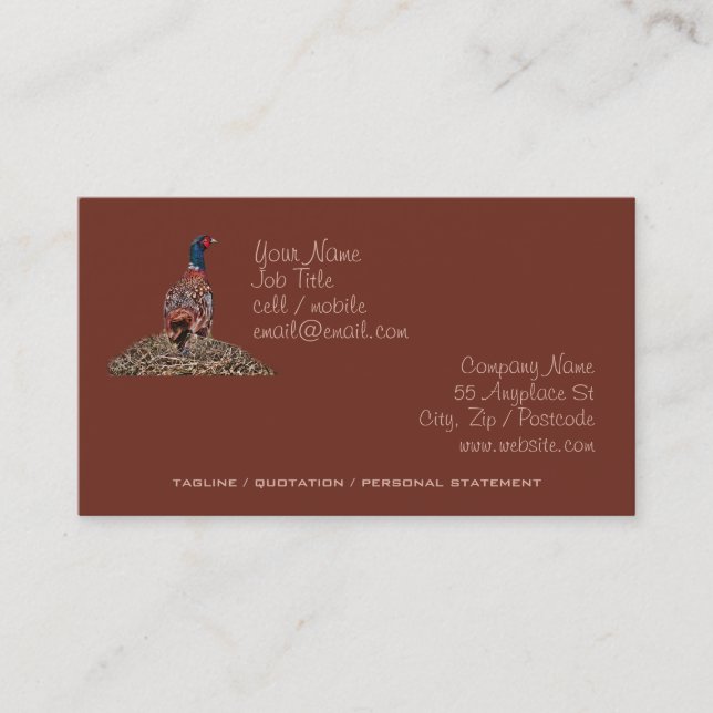 Wary Pheasant Game Bird Business Card (Front)