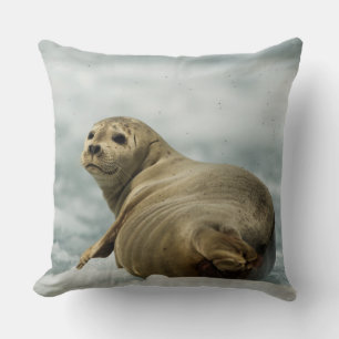 Wary Seal Cushion