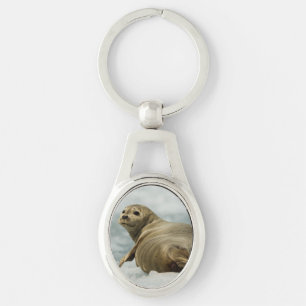Wary Seal Key Ring