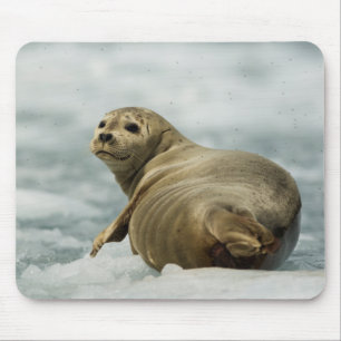 Wary Seal Mouse Mat