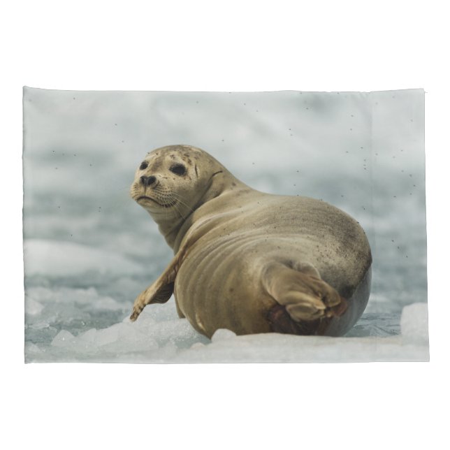 Wary Seal Pillowcase (Back-Right)