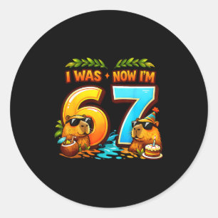 Was 6 7 birthday 67 meme capybara kids boys girls classic round sticker