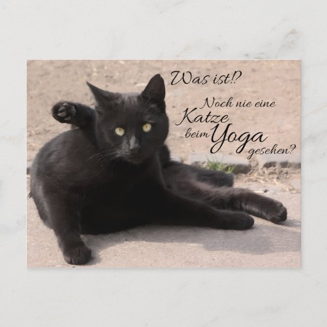 Was ist?!? Noch nie eine Katze beim Yoga gesehen? Postcard (Front)