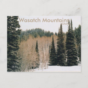 Wasatch Mountains Winter Scene Postcard