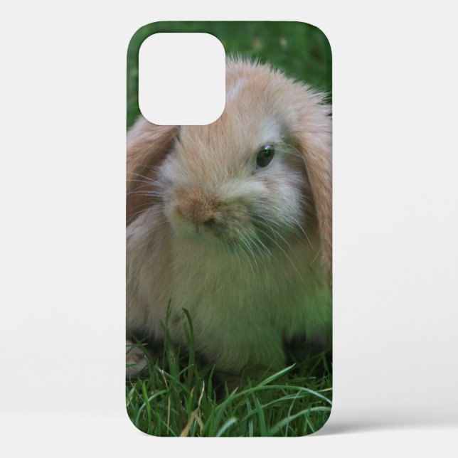 Wascally Wabbit iPhone 12 Case (Back)