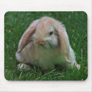 Wascally Wabbit Mousemat