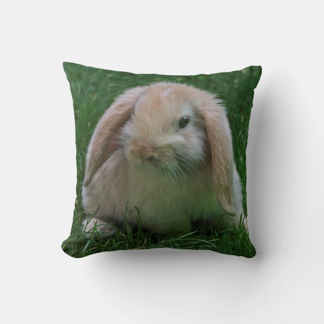 Wascally Wabbit Pillow (Front)