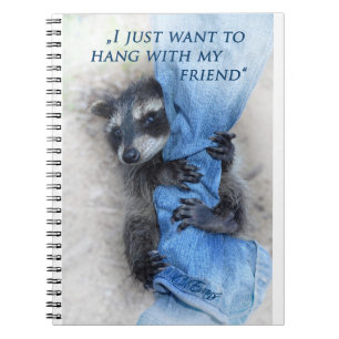 Waschbär  -  Abhängen Notebook