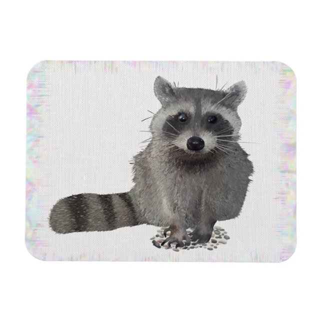 Waschbär  magnet (Horizontal)