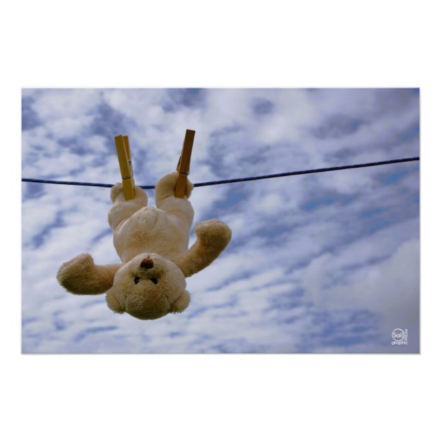 Wash line with Funny bear hanging to dry. Poster (Front)