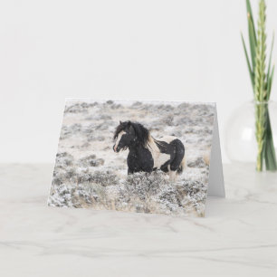 "Washakie in Winter" Holiday Card