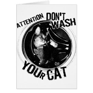 washcat