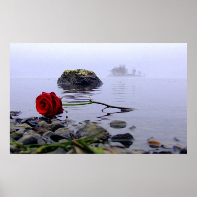 Washed Ashore Red Rose Poster (Front)