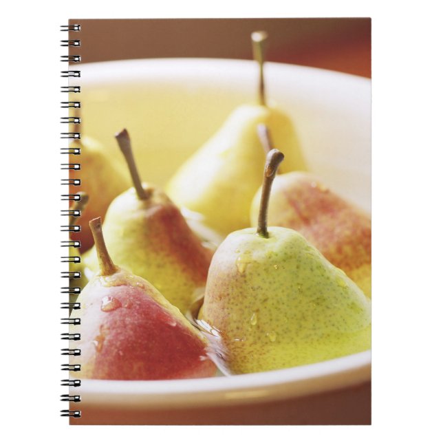 Washing Pears Notebook (Front)