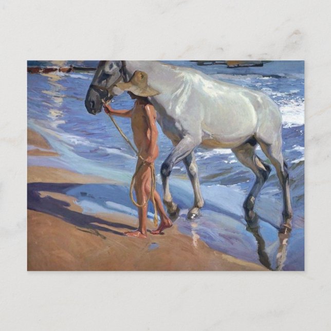 Washing the Horse Postcard (Front)