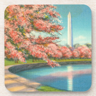 Washington Coaster