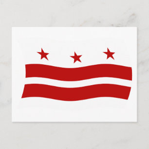 Washington D.C. Flag Postcard