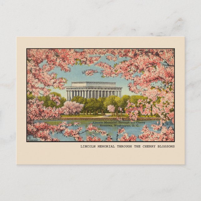  Washington, D.C. Lincoln Memorial Vintage Postcard (Front)