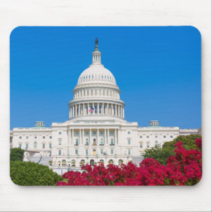 Washington D.C. Mouse Mat