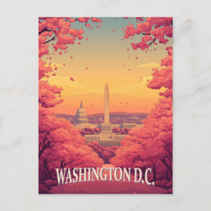 Washington D.C.  Postcard