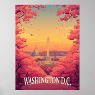 Washington D.C.  Poster