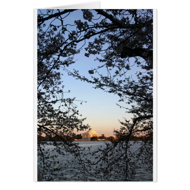 Washington DC Cherry Blossom (Front)