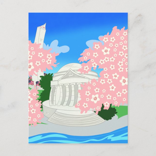 Washington DC Cherry Blossoms Postcard (Front)