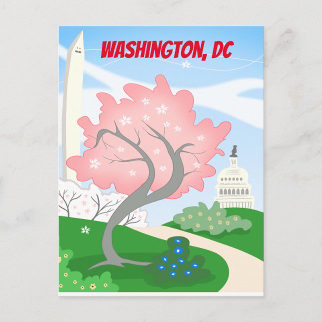 Washington, DC Cherry Blossoms Postcard (Front)