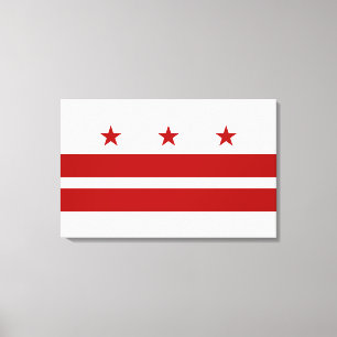 Washington DC Flag Canvas Print