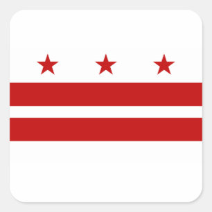 Washington DC Flag Square Sticker