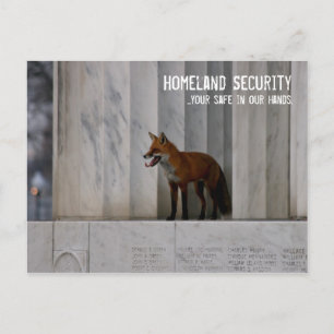 Washington, DC:  Homeland Security Humour Postcard