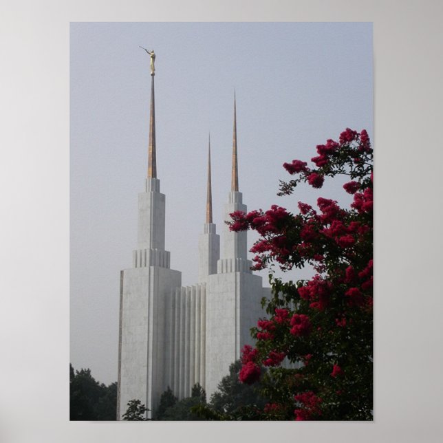 Washington DC Poster (Front)