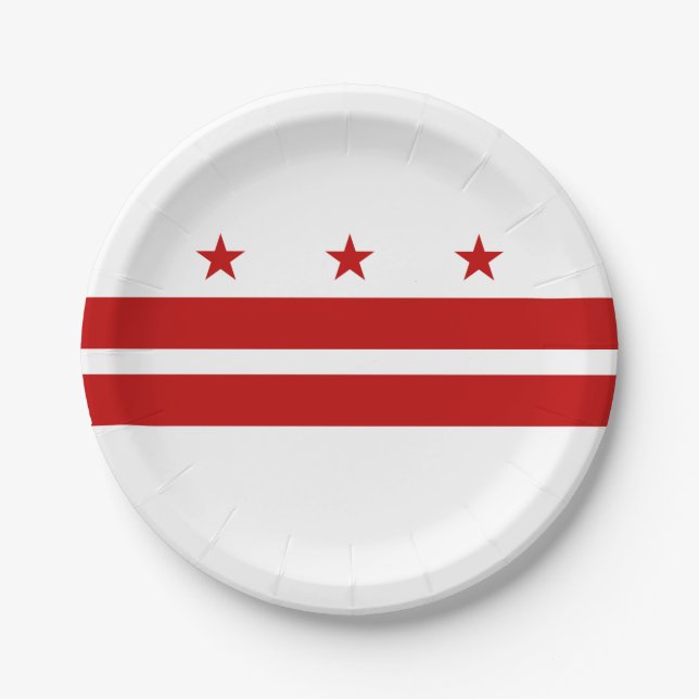 Washington DC State Flag Paper Plate (Front)