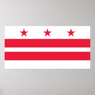 Washington DC State Flag Poster