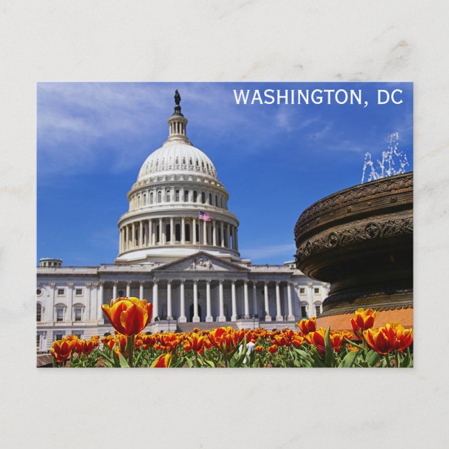 Washington DC United States Capitol Building Postcard (Front)