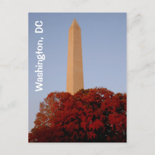 Washington, DC:  Washington Monument in Fall Postcard