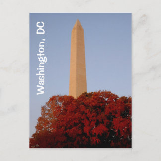 Washington, DC:  Washington Monument in Fall Postcard