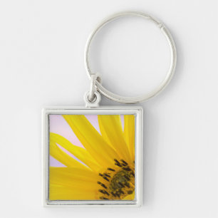 Washington. Detail of sunflower blossom 1 Key Ring