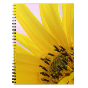 Washington. Detail of sunflower blossom 1 Notebook