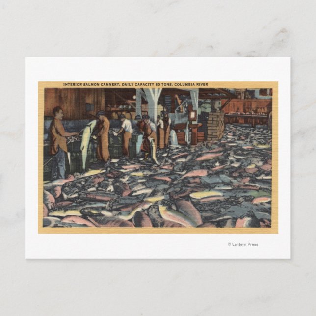 Washington - Interior View of a Salmon Postcard (Front)