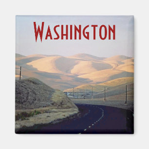 Washington Magnet