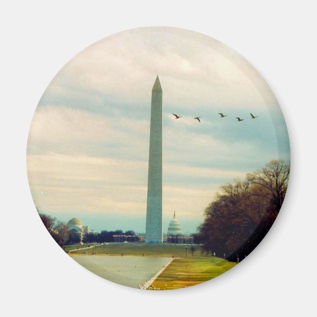 washington monument birds magnet (Front)