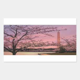 Washington Monument Cherry Blossom Festival Rectangular Sticker