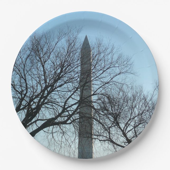 Washington Monument in Winter I Landscape Paper Plate (Front)