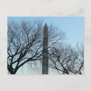 Washington Monument in Winter I Landscape Postcard