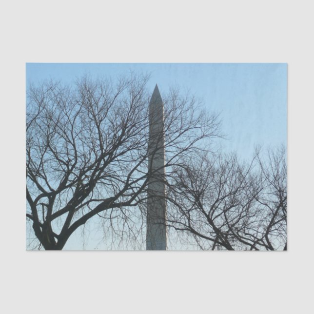 Washington Monument in Winter I Landscape Tissue Paper (Front)